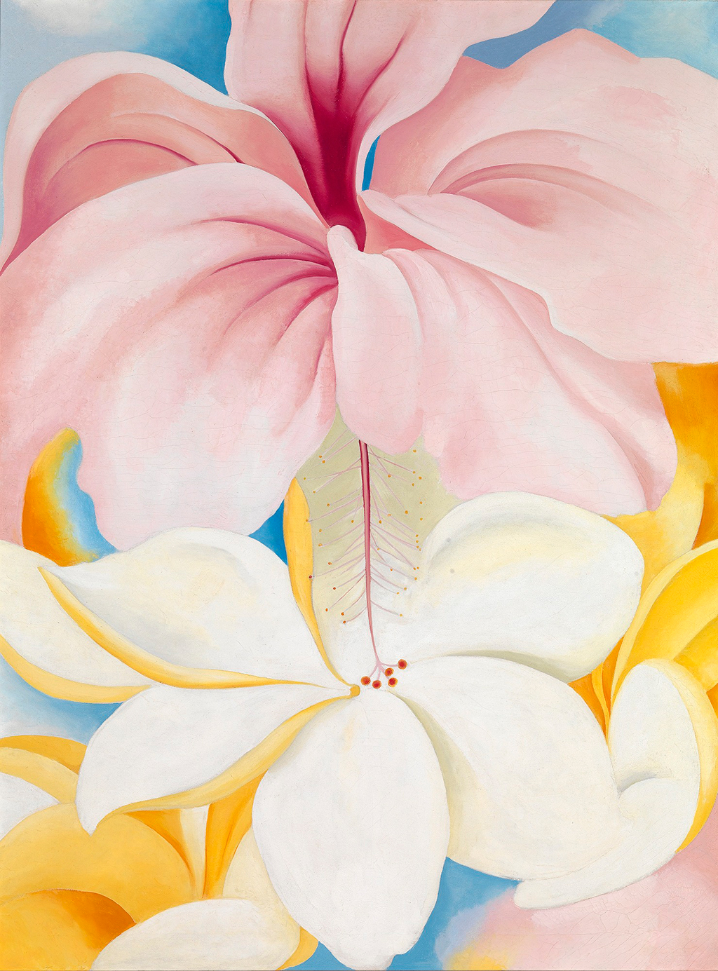 Hibiscus with Plumeria in Detail Georgia O'Keeffe